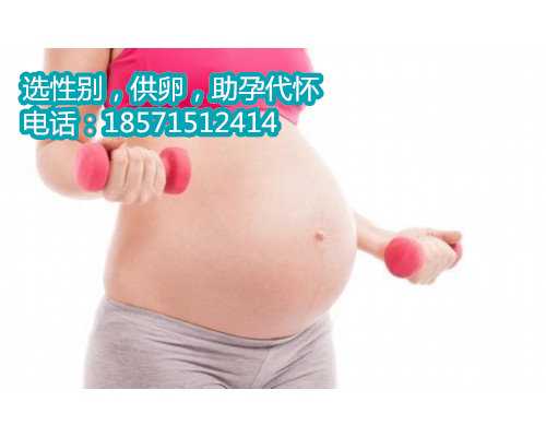 杭州代怀孕价格表多少钱,不规律