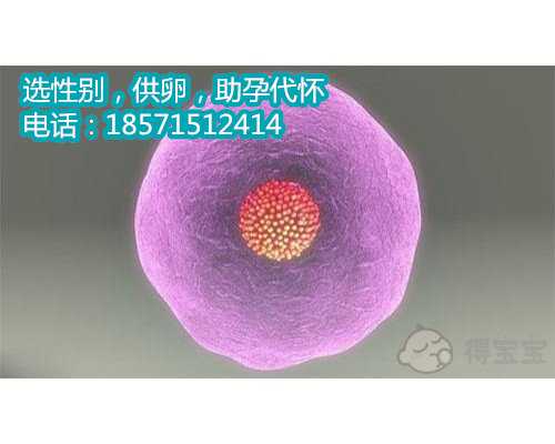 杭州代生机构微信,单精子注射技术需要多少费用