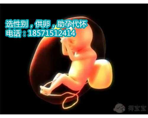 杭州代怀孕产子公司费用,判断生男生女的3个科学方法分享