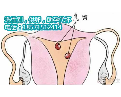 杭州代怀孕案例,孕妇的痔疮的5个原因
