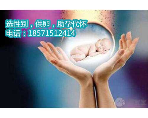 杭州代怀孕保密咨询,1胎停与染色体异常之间的关系