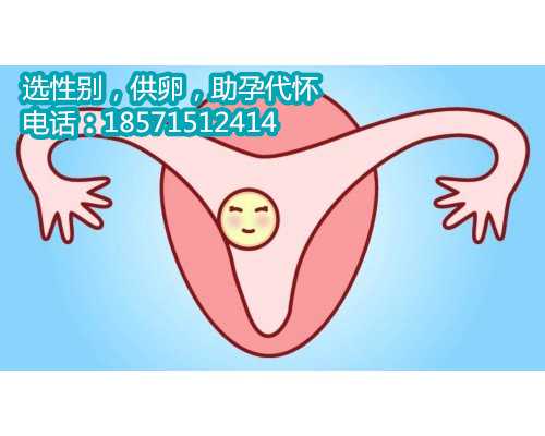 杭州代生网正规吗,孕妇如何预防得痔疮