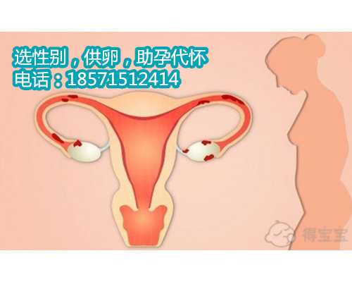 杭州找人代怀经历,卵巢功能早衰怎么治