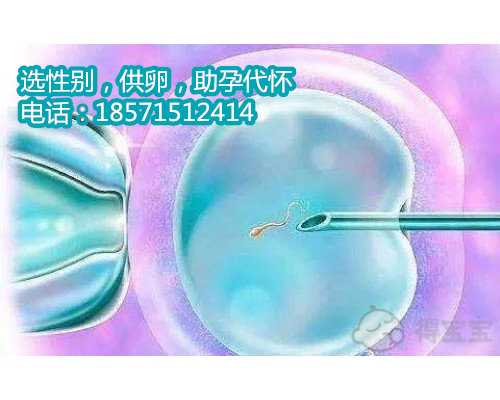 杭州代生网包生双胞胎,孕期远离痔疮的4个妙招