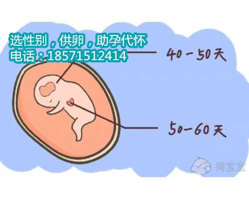 杭州代怀孕中介公司,武汉试管婴儿医院有哪些