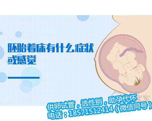 代生妇杭州代生网,孕期远离痔疮的4个妙招