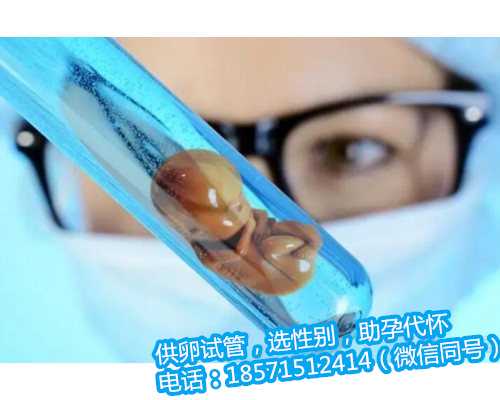 杭州代怀孕哪里有,弓形子宫试管怀双胞胎的经历分享