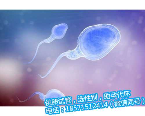 杭州代怀孕网微信,弓形子宫试管怀双胞胎的经历分享