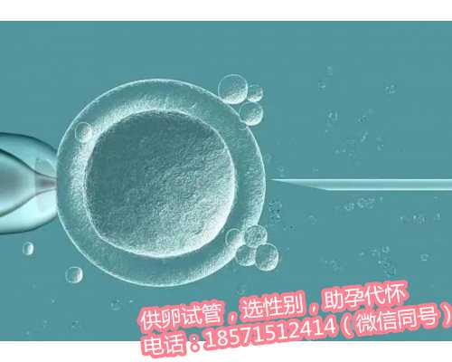 杭州代怀孕助孕要求,2杭州试管婴儿成功率如何