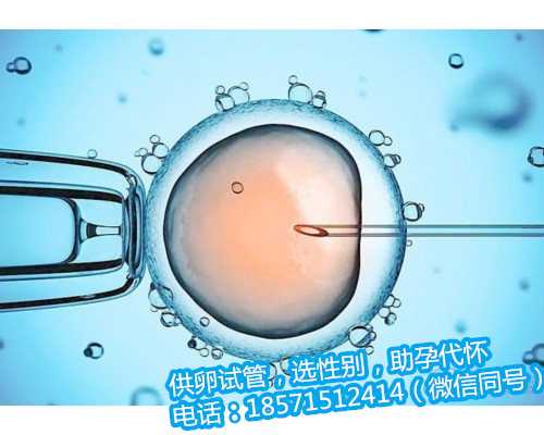 杭州代怀孕2021价格,1重庆医科大学附属第一医院试管婴儿医生哪个好