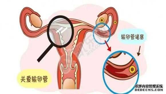 有代生怀孕公司合法吗,南京有人需要供卵试管吗,浙江省妇保试管婴儿