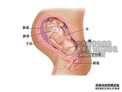 杭州代怀孕谁可靠,哺乳期能不能打新冠疫苗