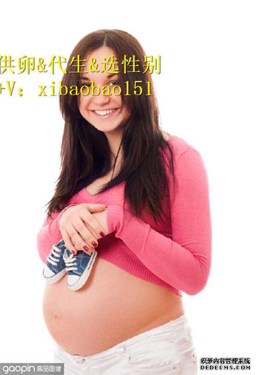 杭州代怀孕公司价格表,4试管婴儿取卵前