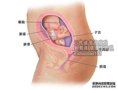 杭州代怀孕正规吗,家用胎心仪使用注意事项