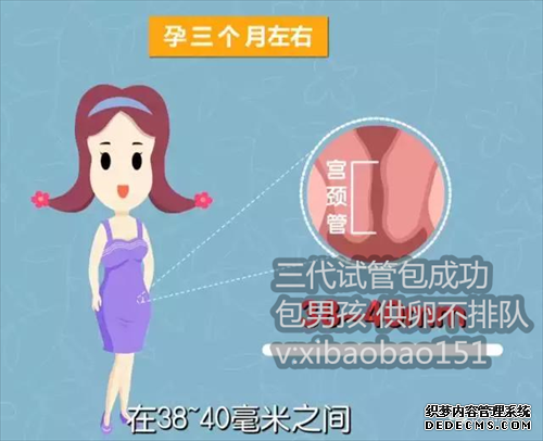 杭州代生机构服务价格,2022上海东方医院试管婴儿费用明细：