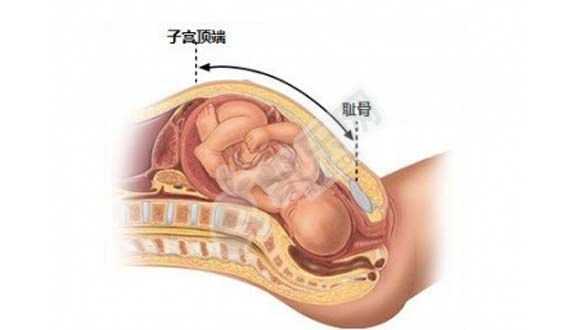 杭州代怀孕服务套餐,北京北医三院供卵中心什么条件才能登记排队
