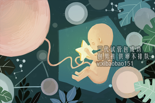 杭州代怀生孩子中介,弓形子宫怀孕保胎方法