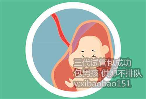 杭州找人供卵试管生小孩,afp甲胎蛋白正常值